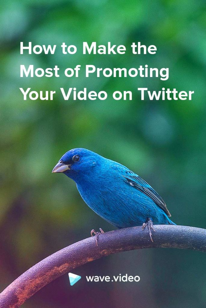 How to make the most of promoting video on twitter