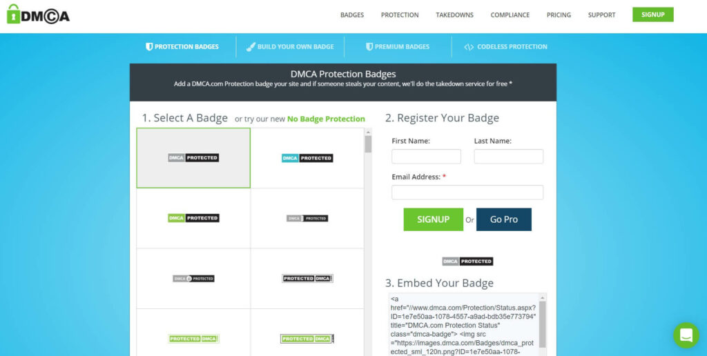 DMCA protection badge
