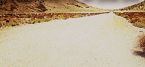 Empty road tumbleweed