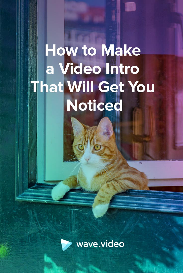 How to Make a Video Intro That Will Get You Noticed - Wave.video Blog ...