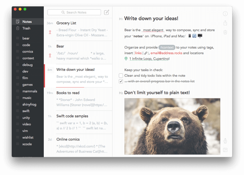Bear for blogging