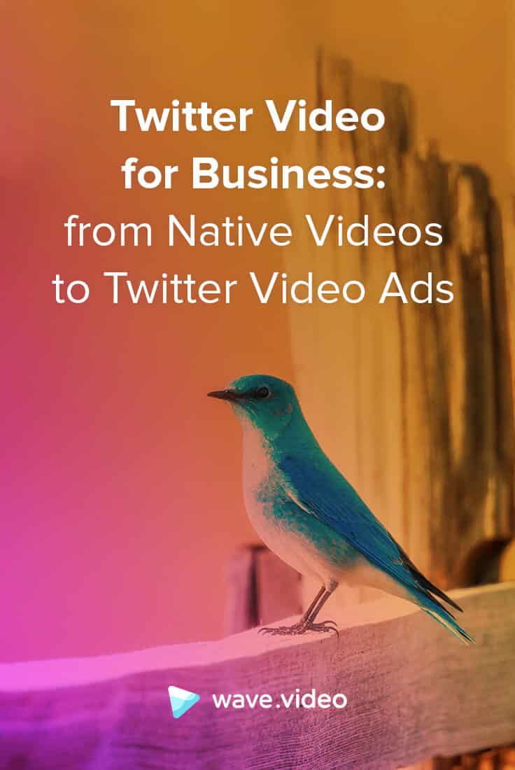 Twitter Video für Unternehmen: von nativen Videos bis zu Twitter Video Ads