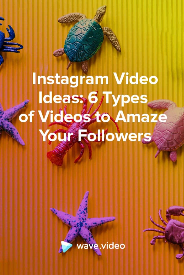 Ideias de Vídeo Instagram: 6 Tipos de Vídeos para Matizar os Seus Seguidores