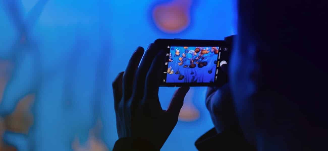 17 Awesome Video Effects You Want to Try in Your Next Video Wave.video Blog Latest Video