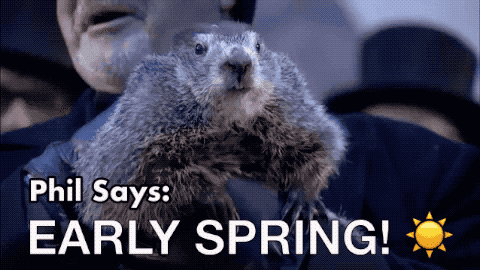 Groundhog Day - Spring prediction