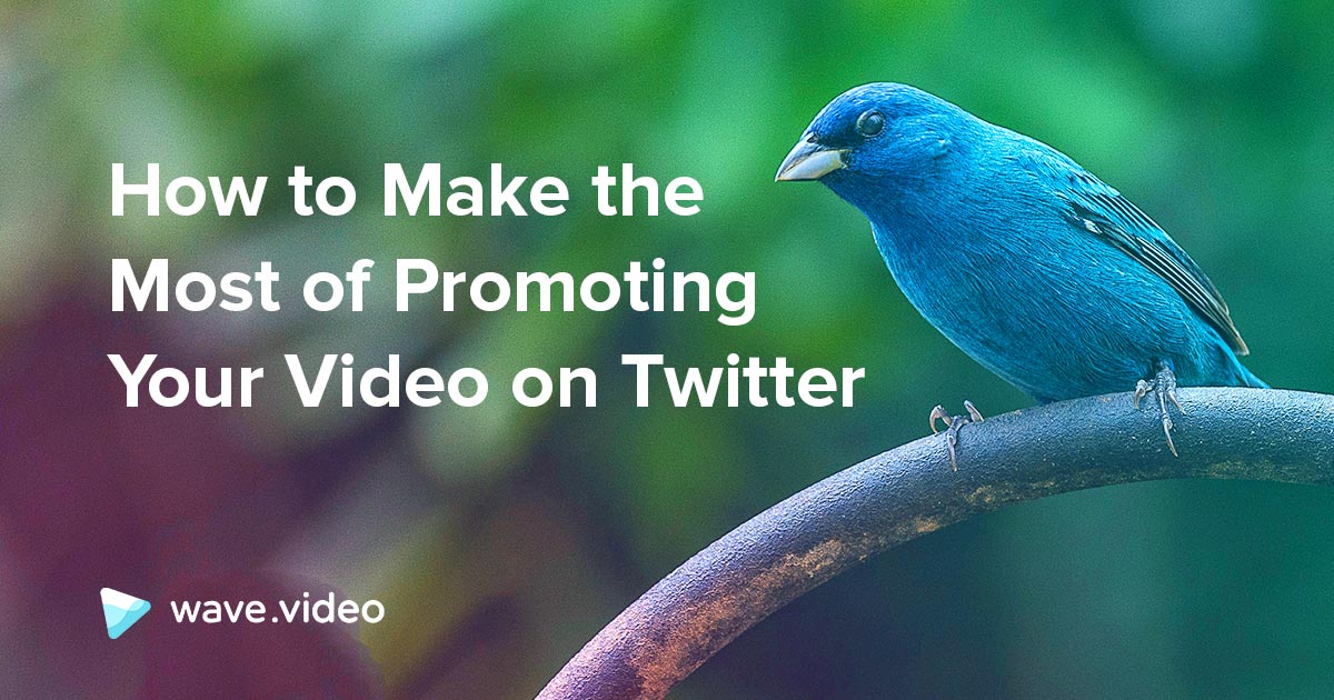 How to Make the Most of Promoting Your Video on Twitter - Wave.video Blog:  Latest Video Marketing Tips & News | Wave.video