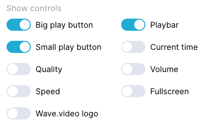 Video player controls