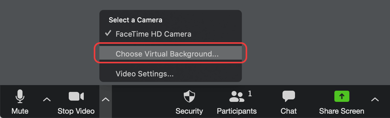 Zoom Virtual Backgrounds and Video Filters 