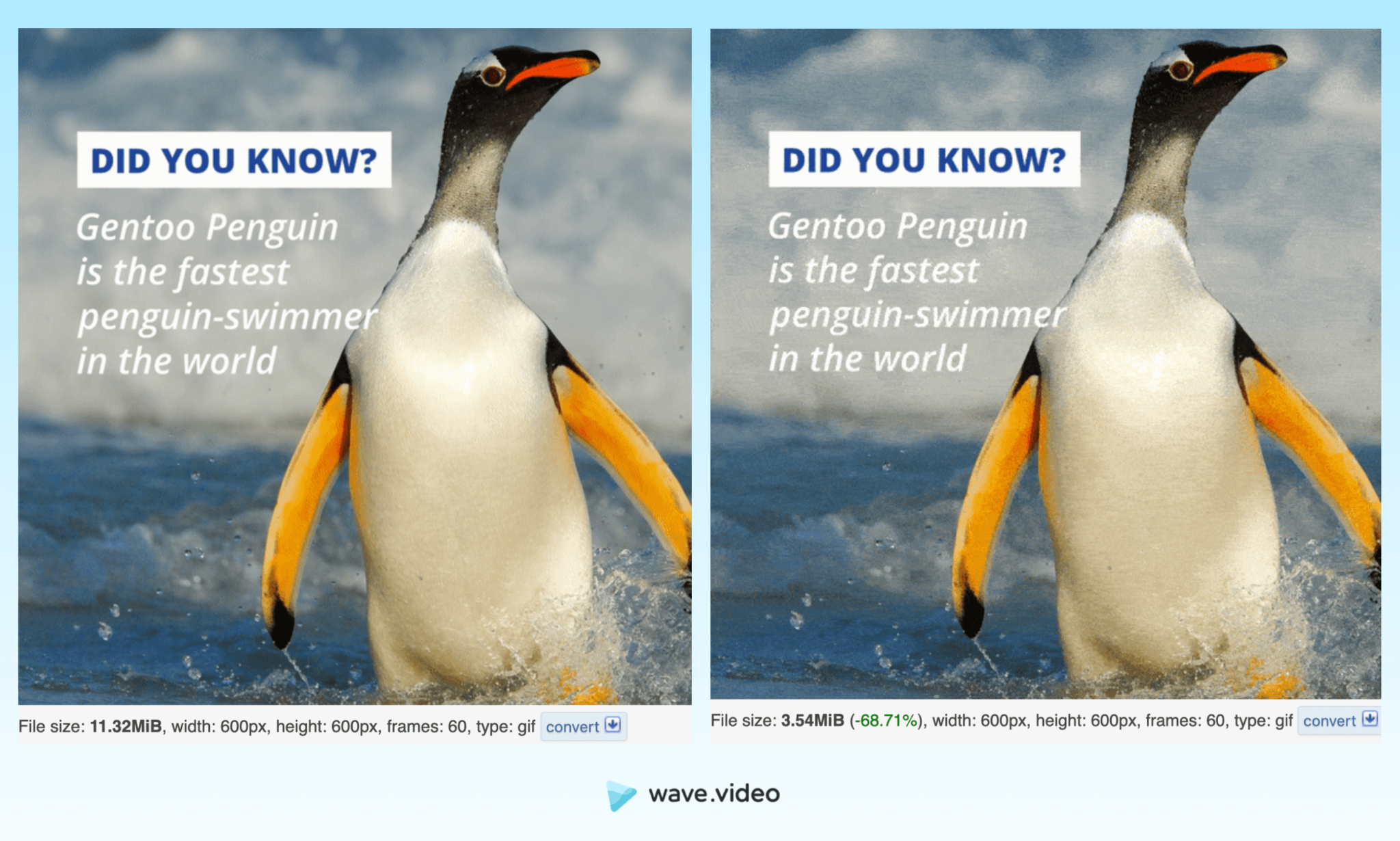 Conversor de imagem para GIF Crie GIFs animados para envolver