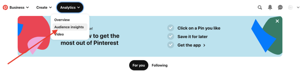 Pinterest Video - Audience insights