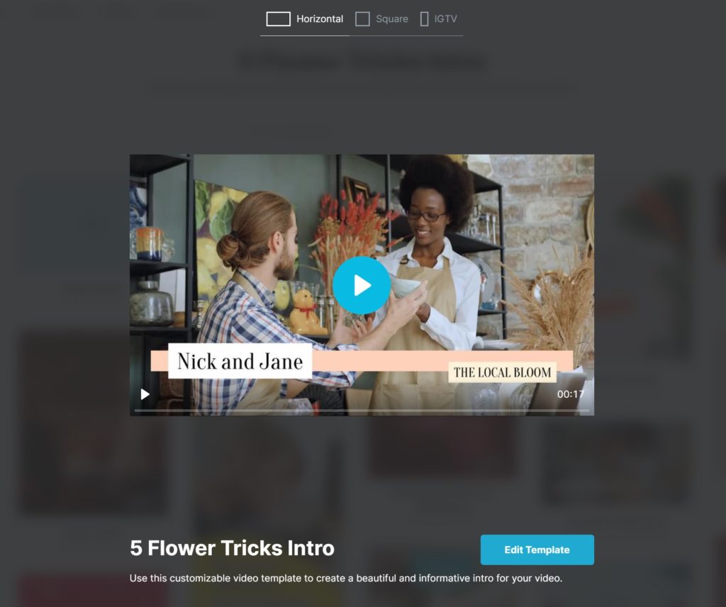 Edit your video editing template
