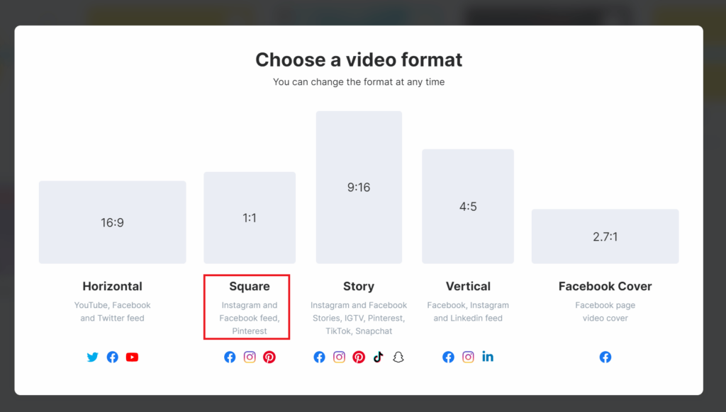 Choose a video format