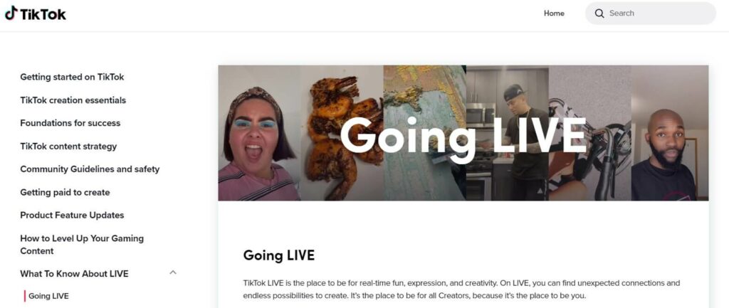 TikTok live streaming platform