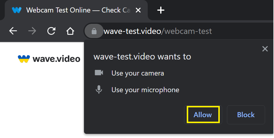 webcam test allow