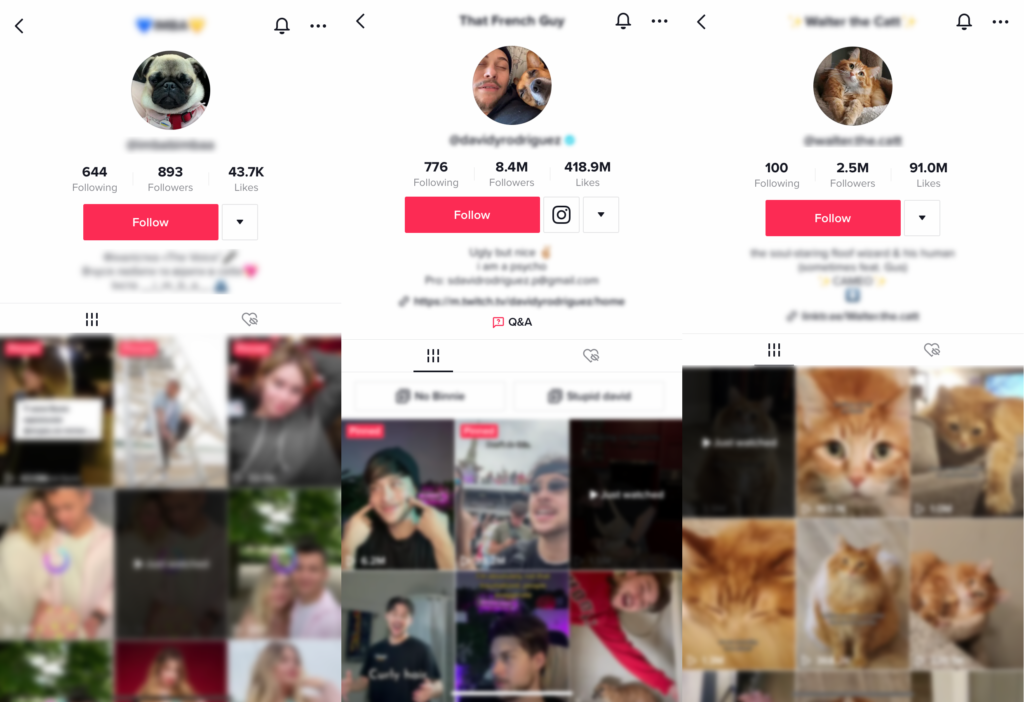 Top 10 Ideias Criativas de Perfil TikTok -  Blog: Últimas Dicas e  Notícias de Marketing em Vídeo