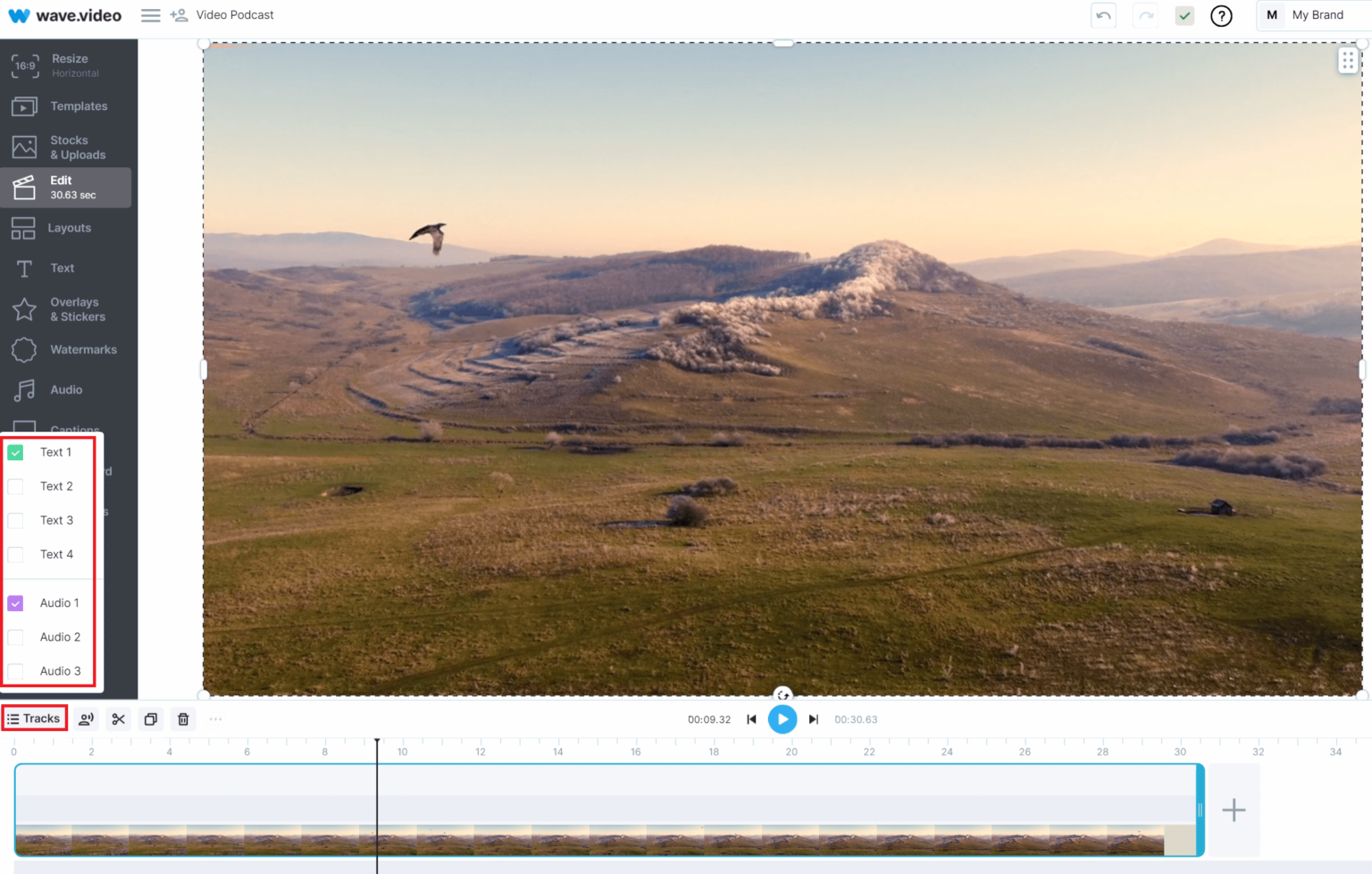 How to Add a VoiceOver to Your Video Online Wave.video Blog Latest