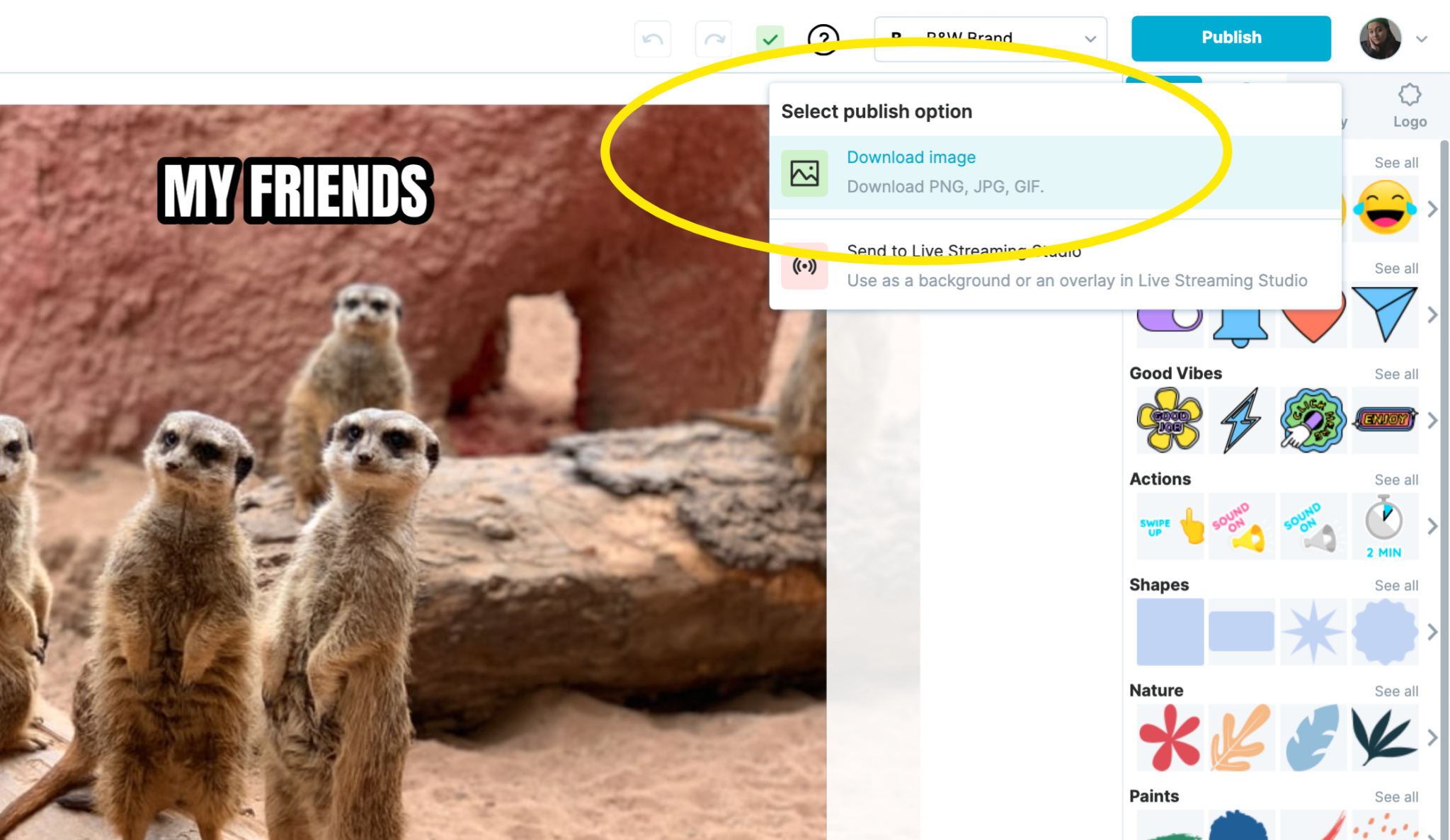 Meme Fonts Which Are Used in Different Popular Memes? Wave.video