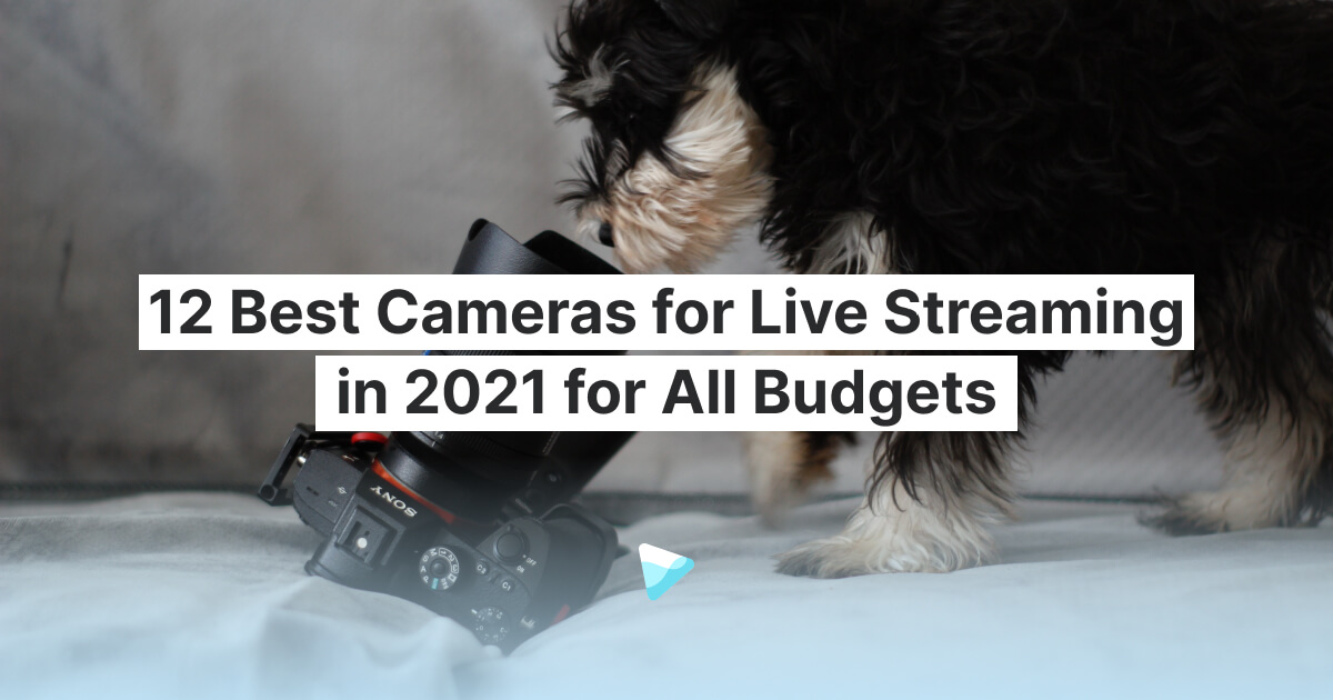 Las 12 mejores cámaras para streaming en directo en 2022 para todos los  presupuestos -  Blog: Últimos consejos y noticias de marketing en  vídeo
